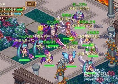 解救金刚鹦鹉